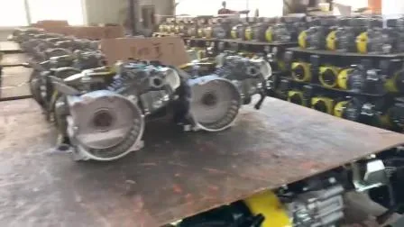 China Supplier Gasoline Generators 1kw/1kVA 220V/240V 50Hz Home Backup Generator